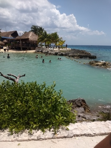 Cozumel Chankanaab National Marine Beach Park All-Inclusive Day Pass and Snorkel Excursion Great excursion for the whole family