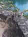 Cozumel Chankanaab National Marine Beach Park All-Inclusive Day Pass and Snorkel Excursion Awesome excursion for a family with teenagers