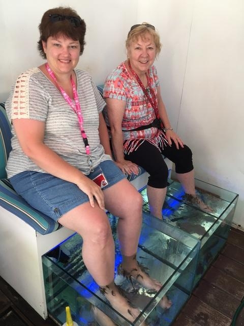 Cozumel Fish Spa Pedicure Experience Love love loved it!!!!