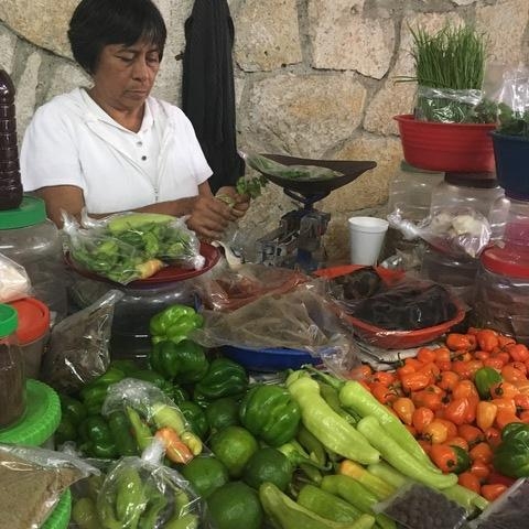Cozumel Food, Flavors and Local Colors Excursion Food lover's DREAM