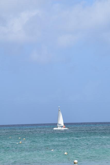 Cozumel Isla Mia Roots Beach Escape with Optional Round-Trip Transportation Budget day out