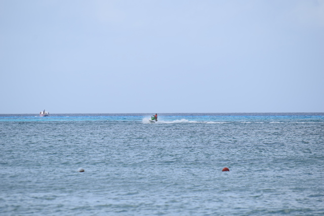 Cozumel Isla Mia Roots Beach Escape with Optional Round-Trip Transportation Budget day out