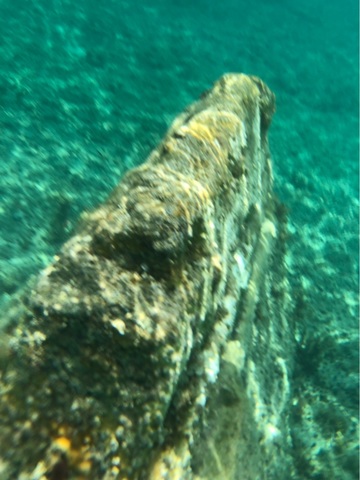 Cozumel Isla Mia Roots Beach Escape with Optional Round-Trip Transportation satisfied 