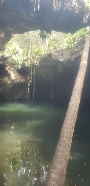 Cozumel Jungle ATV, Jade Cavern and Cenote Swim Excursion Awesome fun