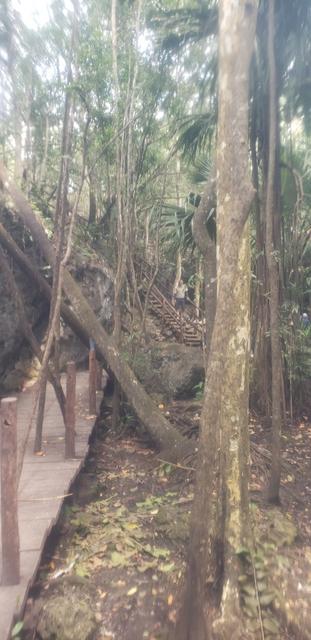 Cozumel Jungle ATV, Jade Cavern and Cenote Swim Excursion Awesome fun