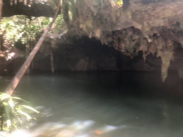 Cozumel Jungle ATV, Jade Cavern and Cenote Swim Excursion Great dirty fun!