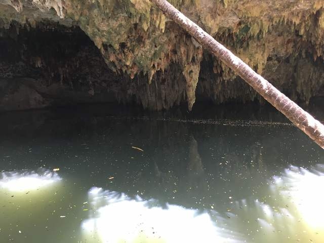 Cozumel Jungle ATV, Jade Cavern and Cenote Swim Excursion Lot's of fun!