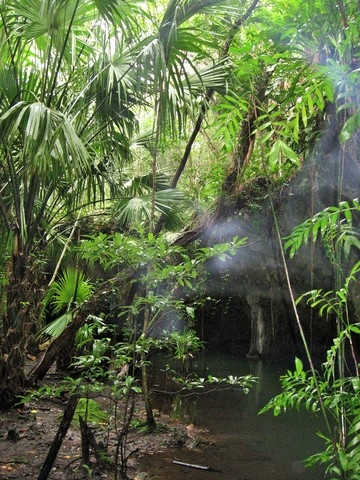 Cozumel Jungle Jeep, Jade Cavern, Cenote Swim, and Snorkel Adventure Excursion Incredible time!
