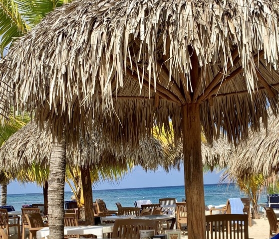 Cozumel Mr. Sanchos Beach Club VIP All-Inclusive Day Pass for 2 Mr. Sanchos--I think YES!
