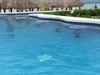 Cozumel Mr. Sanchos Beach Club VIP All-Inclusive Day Pass for 2 awesome!!!!