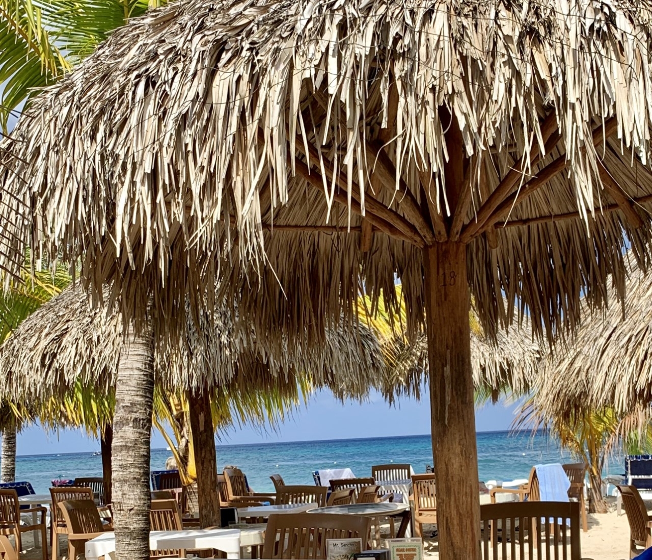 Cozumel Mr. Sanchos VIP Package for 2 All-Inclusive Day Pass - Cozumel  Excursions