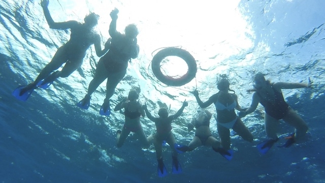 Cozumel Private First Lady Boat Charter Excursion - Secluded Marine Park Snorkel and El Cielo Sandbar HIGHLY RECOMMEND!!!