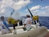 Cozumel Private First Lady Boat Charter Excursion - Secluded Marine Park Snorkel and El Cielo Sandbar (w/ optional fishing) HIGHLY RECOMMEND!!!
