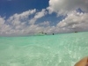 Cozumel Private First Lady Boat Charter Excursion - Secluded Marine Park Snorkel and El Cielo Sandbar (w/ optional fishing) HIGHLY RECOMMEND!!!