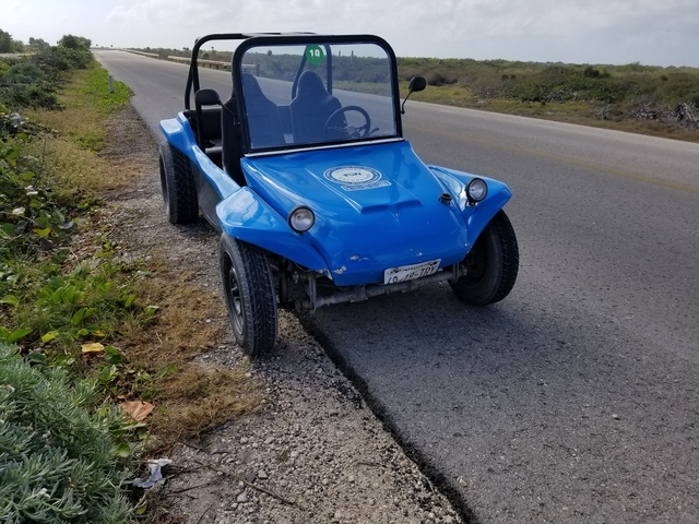 Cozumel Punta Sur Park Dune Buggy, Coral Reef Snorkel, Beach and Island Highlights Excursion Glad we did it!