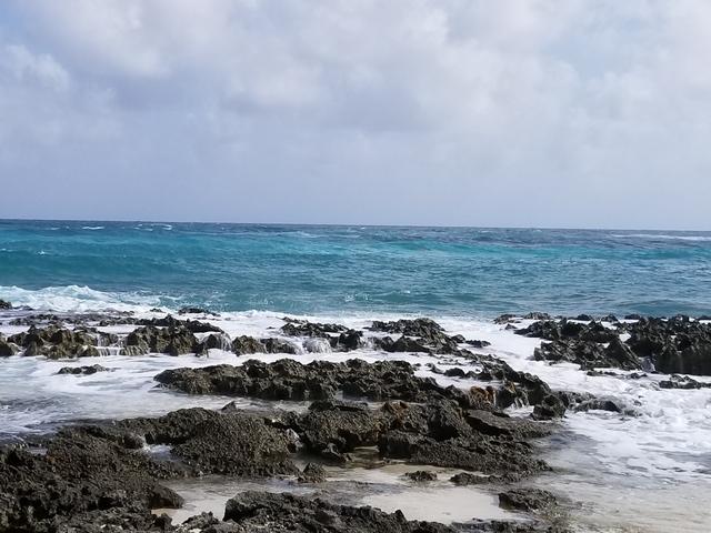 Cozumel Punta Sur Park Dune Buggy, Coral Reef Snorkel, Beach, and Island Highlights Excursion Glad we did it!