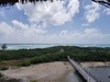 Cozumel Punta Sur Park Dune Buggy, Coral Reef Snorkel, Beach, and Island Highlights Excursion Glad we did it!