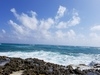 Cozumel Punta Sur Park Dune Buggy, Coral Reef Snorkel, Beach, and Island Highlights Excursion Glad we did it!