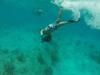 Cozumel Sea Scooter Power Snorkel Excursion and Sky Reef Beach Club Day Pass with Lunch We had the best time! 