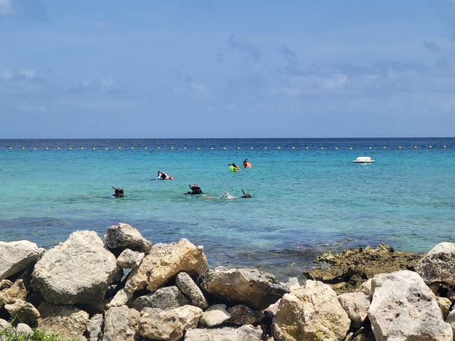 Cozumel SkyReef Beach Break Day Pass Excursion Loved It!