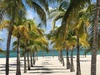 Cozumel Twister Jet Boat Fun and Passion Island All Inclusive Beach Excursion Awesome Excursion