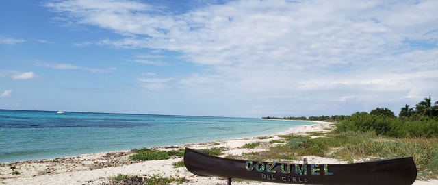 Cozumel Ultimate Island Jeep, Punta Sur Marine Park, and Snorkel Excursion Spectacular Day!!