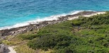 Cozumel Ultimate Island Jeep, Punta Sur Marine Park, and Snorkel Excursion Spectacular Day!!