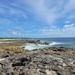 Cozumel Wild Side ATV, Mayan Ruin, and Virgin Beaches Adventure Excursion Awesome ride, really enjoyed