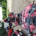 Cozumel Wild Side ATV, Mayan Ruin, and Virgin Beaches Adventure Excursion Awesome ride, really enjoyed