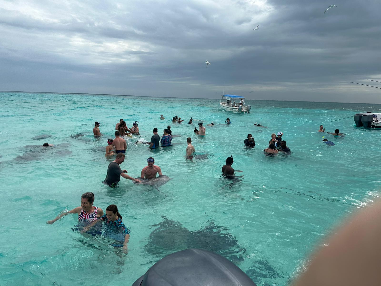 Grand Cayman Captains Choice Snorkel and Stingray City Excursion