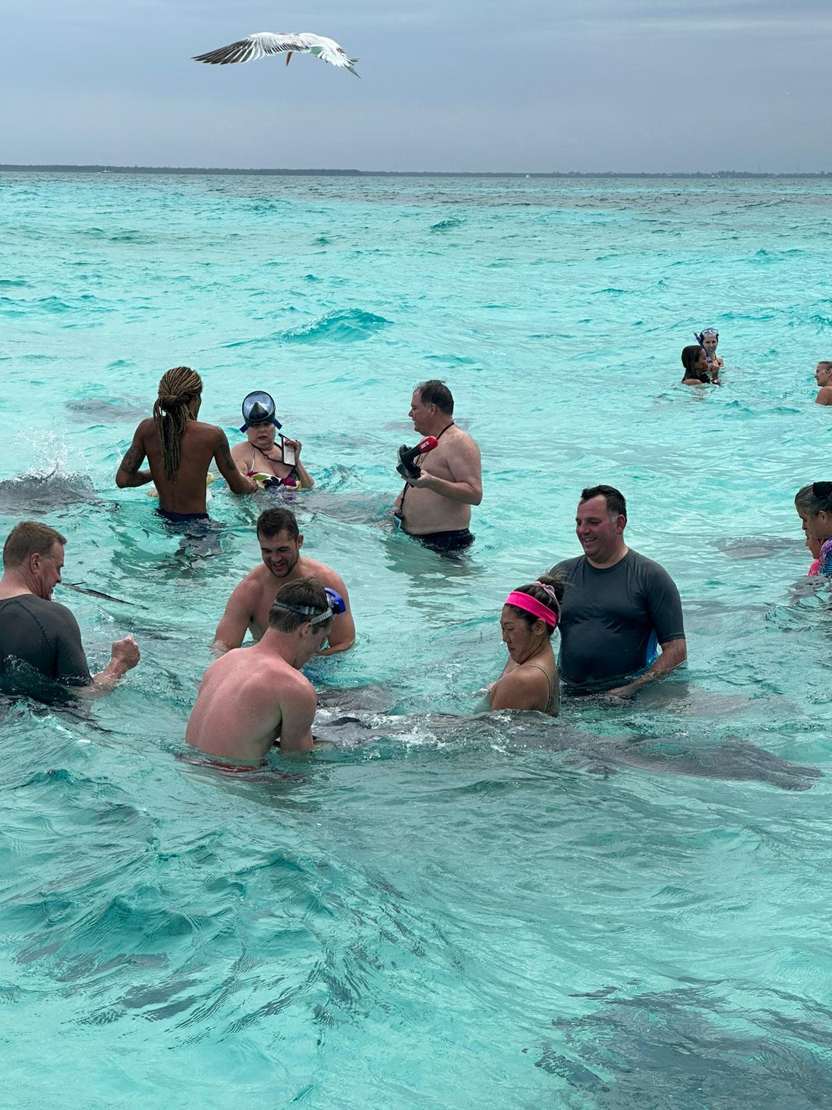 Grand Cayman Captains Choice Snorkel and Stingray City Excursion