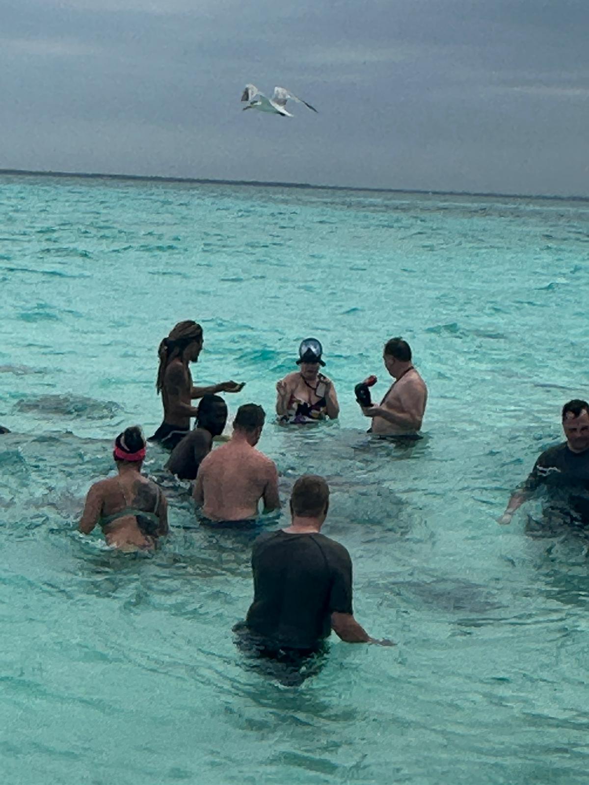 Grand Cayman Captains Choice Snorkel and Stingray City Excursion