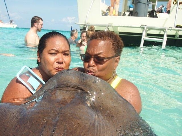 Grand Cayman Captains Choice Snorkel and Stingray City Excursion Up close 