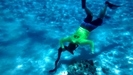 Grand Cayman Coral Reef Snorkel and Stingray City Combo Excursion Muy entretenido!!!