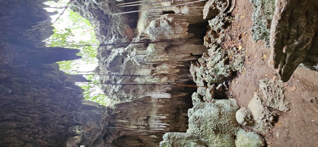 Grand Cayman Crystal Caves and Island Jungle Explorer Excursion Nice, but far from port and caves just ok. 