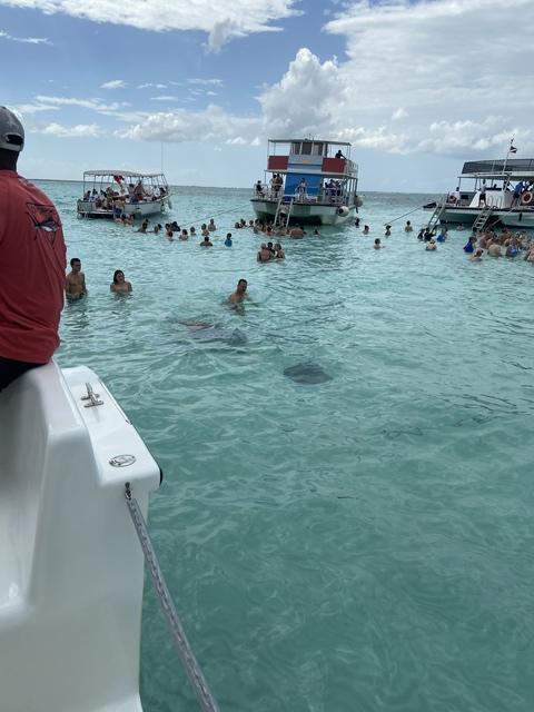 Grand Cayman Starfish Point, Stingray City Sandbar, and Barrier Reef or Coral Garden Snorkel Excursion Combo Can I go again