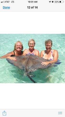 Grand Cayman Starfish Point, Stingray City Sandbar, and Barrier Reef or Coral Garden Snorkel Excursion Combo amazing