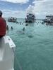 Grand Cayman Starfish Point, Stingray City Sandbar, and Barrier Reef Snorkel Excursion Combo Can I go again
