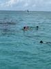 Grand Cayman Starfish Point, Stingray City Sandbar, and Barrier Reef Snorkel Excursion Combo Can I go again