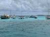 Grand Cayman Starfish Point, Stingray City Sandbar, and Barrier Reef Snorkel Excursion Combo Super cool experience!