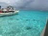 Grand Cayman Starfish Point, Stingray City Sandbar, and Barrier Reef Snorkel Excursion Combo Highly recommend