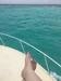 Grand Cayman Starfish Point, Stingray City Sandbar, and Barrier Reef Snorkel Excursion Combo absoulute best exsursion!!!