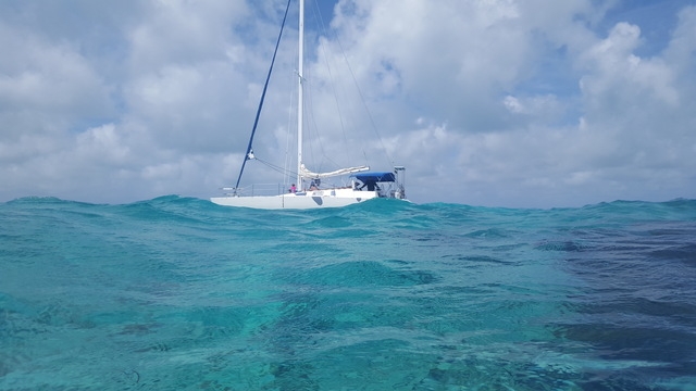 Grand Cayman Stingray City Catamaran Sail and Snorkel Excursion Absolutely the Best