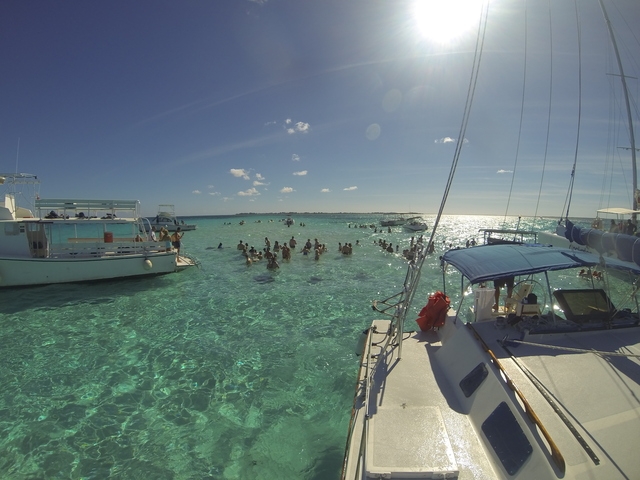 Grand Cayman Stingray City Catamaran Sail and Snorkel Excursion So worth it!