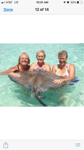 Grand Cayman Stingray City Sandbar, Coral Gardens and Barrier Reef Snorkel Excursion amazing