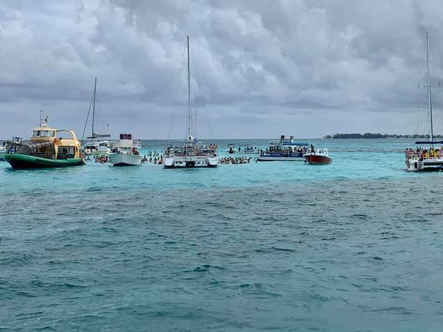 Grand Cayman Stingray City Sandbar, Coral Gardens and Barrier Reef Snorkel Excursion Super cool experience!