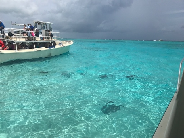 Grand Cayman Stingray City Sandbar, Coral Gardens and Barrier Reef Snorkel Excursion Highly recommend