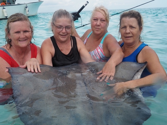 Grand Cayman Stingray Encounter, Coral Gardens and Starfish Snorkel Excursion stingray city and Grand Cayman Islands was absolutely amazing