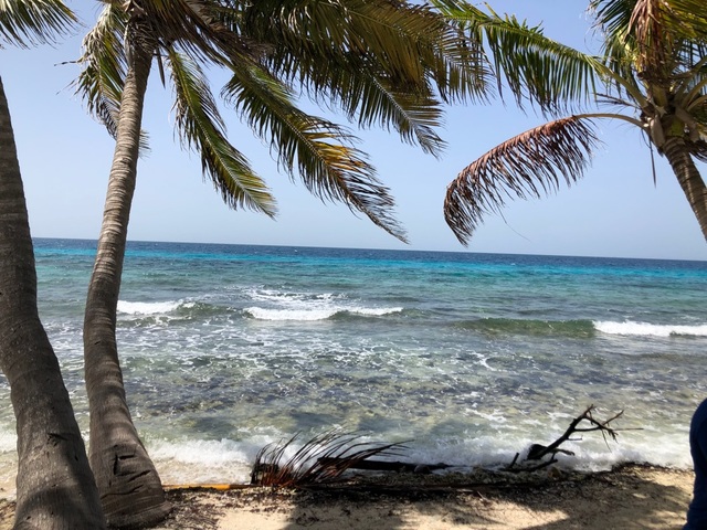 Harvest Caye Private Laughing Bird Caye National Park Snorkeling Excursion amazing