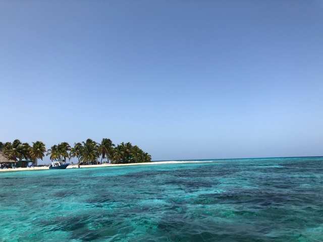 Harvest Caye Private Snorkel at Laughing Bird Caye Excursion amazing